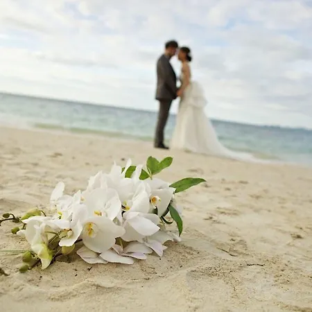 Hotel Island Boutique 3*