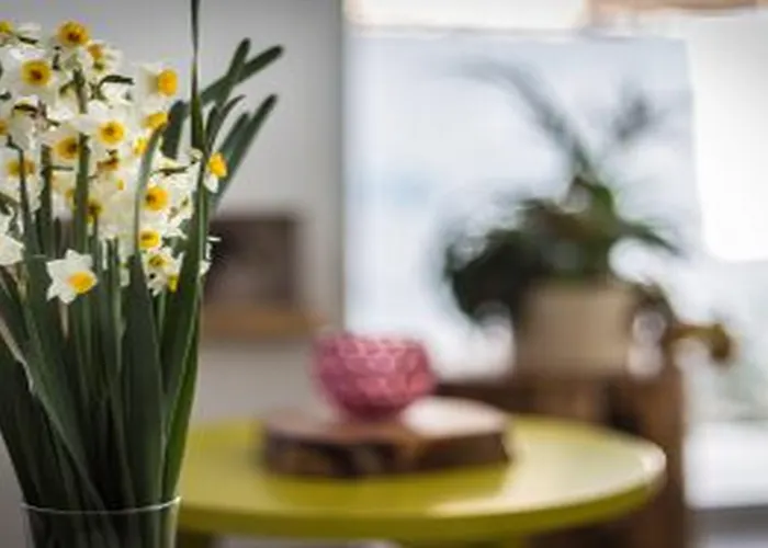 Island Boutique Szálloda 3*