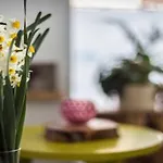 Island Boutique Hotel 3*