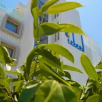 Island Boutique 3* Larnaca